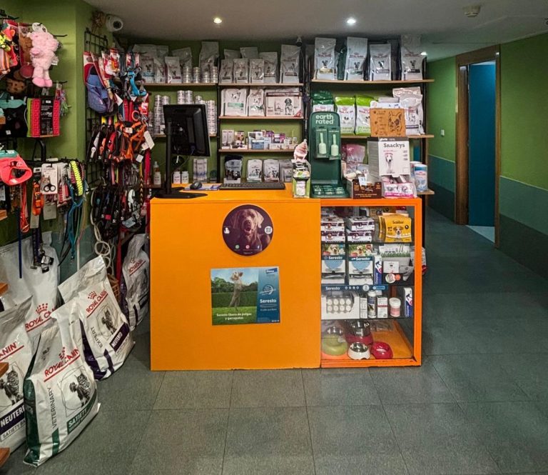 How do we learn through playing?